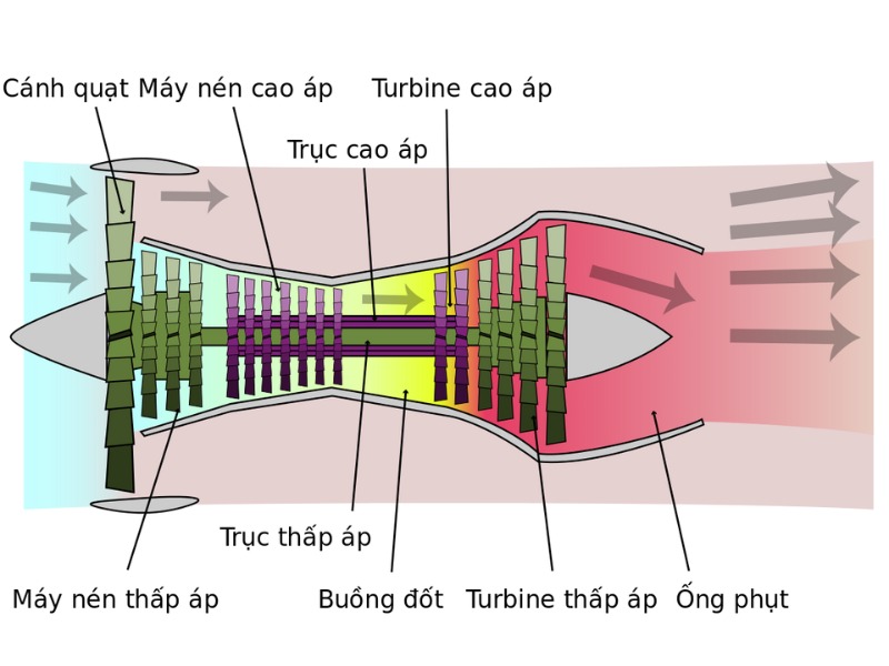 Cau-tao-dong-co-phan-luc